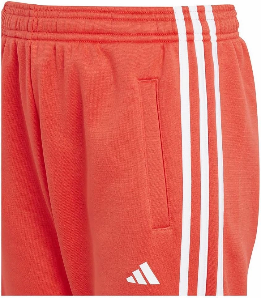 adidas Unisex Train Essentials Aeroready 3-Stripes Regular-fit Joggers Pants (1/1)