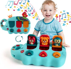 Baby Pop Up Musical Causes Toys, 6-18 Months, Montessori Learning Educational Gifts for 1 Year Old Boy or Girl