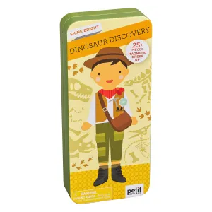Dinosaur Discovery Magnetic Playlet