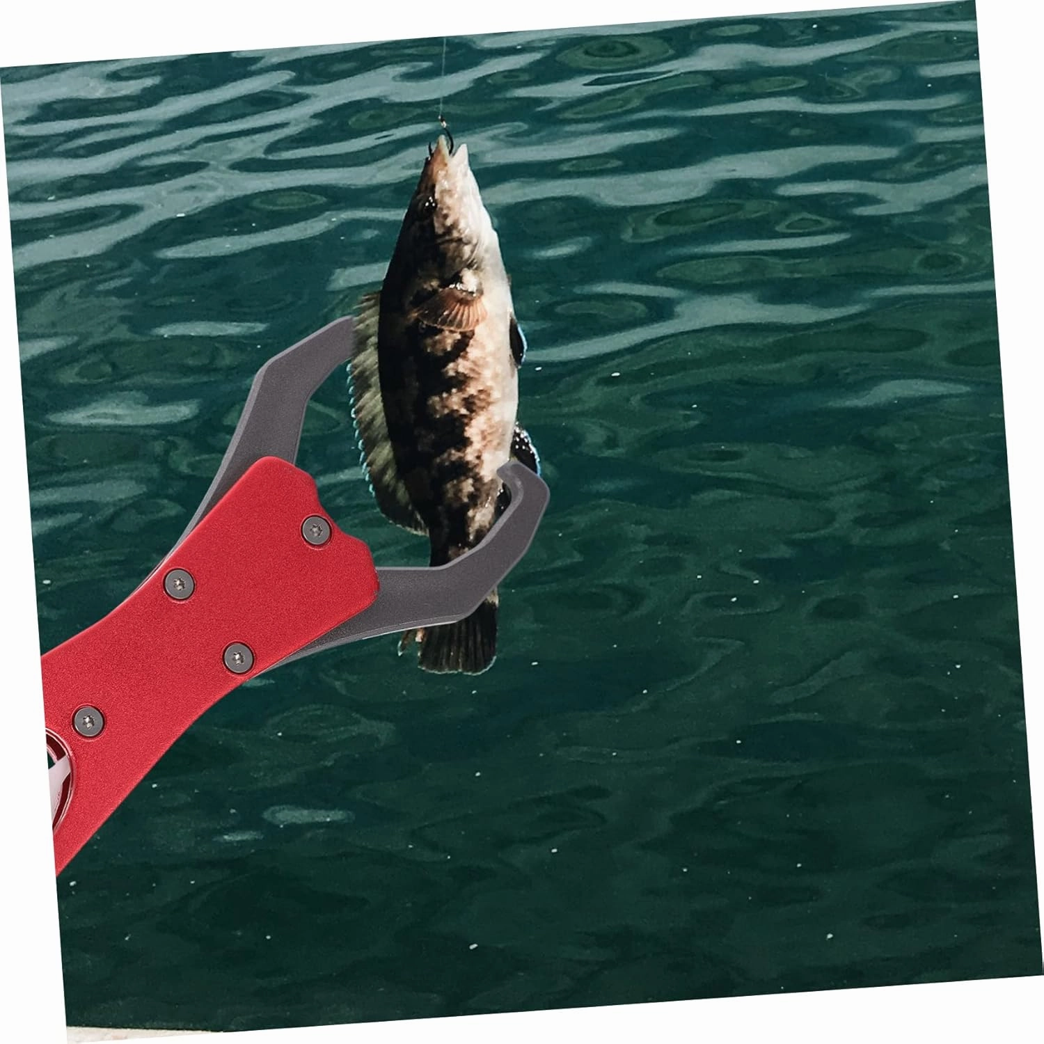 Fish Control Hook Remover Removal Catching Clamp Grippers Extractor Magnetic Small Folding Fish Hook