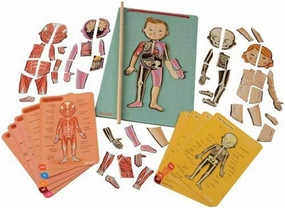 Janod Bodymagnet Educational Human Body Game - Anatomy, Organs, Skeleton, Muscles - 76 Magnetic Pieces - From 7 Years Old, 12 Languages, J05491 Includes 18 cards, 76 body part magnets and 1 pointer stick