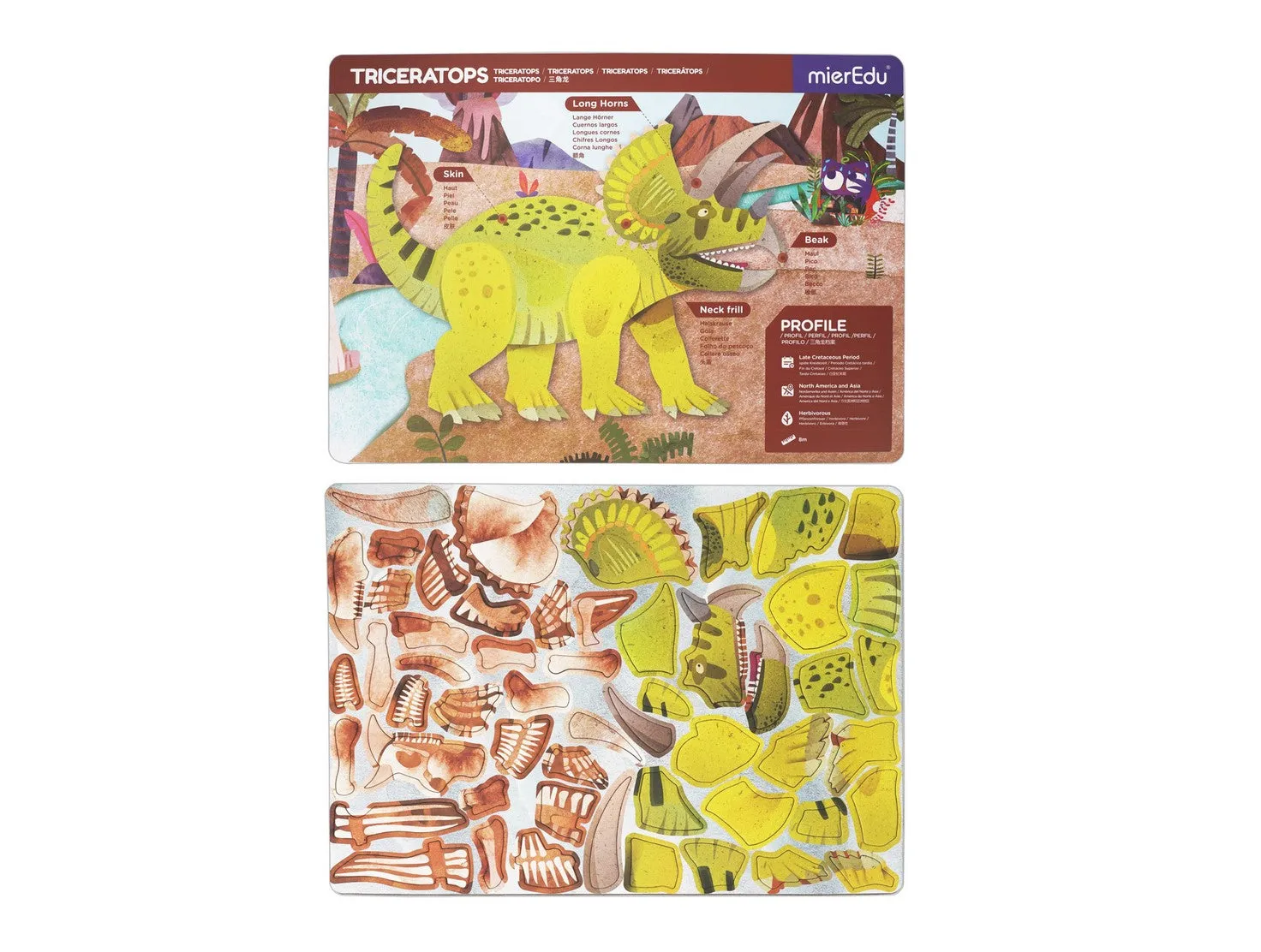 Magnetic Pad-Triceratops