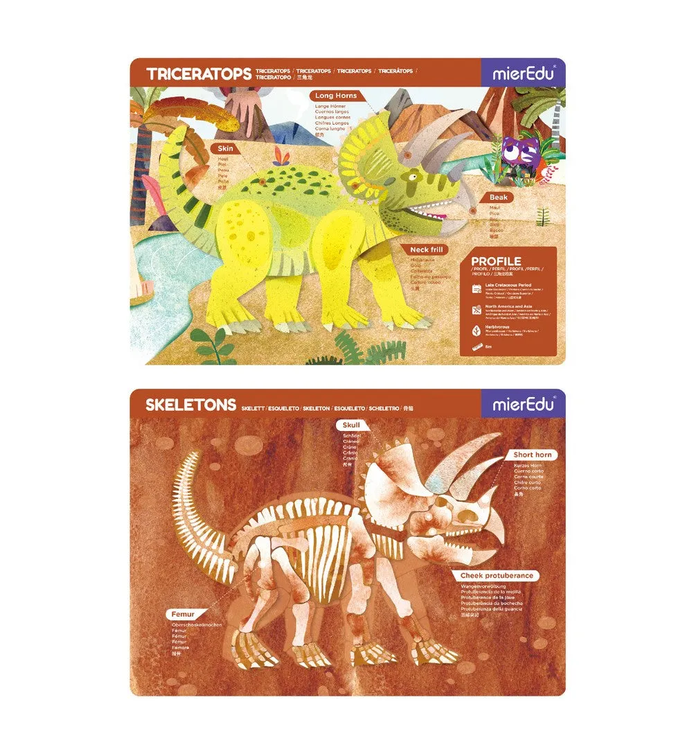 Magnetic Pad-Triceratops