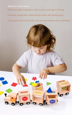 Practical Life Posting Pincer Grasp/Science/Math Wooden Magnetic Train Playset, Shape and Color Recognition Train, Montessori Toys, Sorting Toys for Toddlers 3-7 Years Old Gift